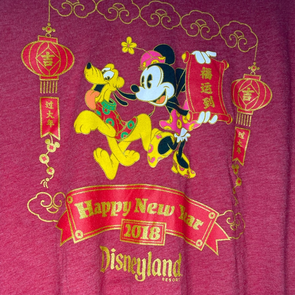 Lunar New Year 2018 Disneyland Hoodie